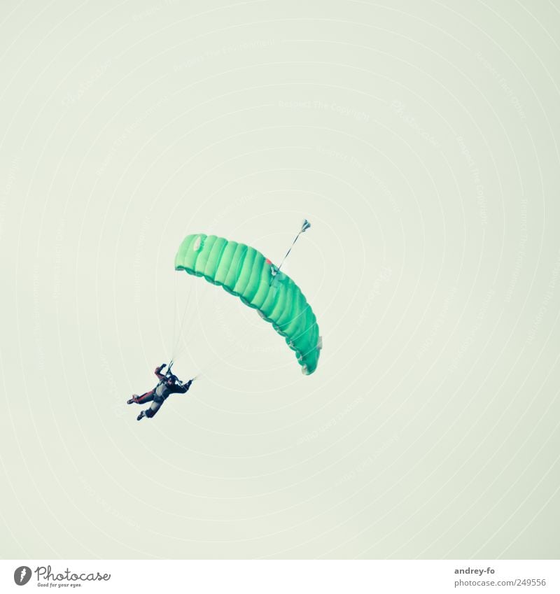 Skydiver. 1 Human being Cloudless sky Aviation Airfield Parachute Flying Green Bravery Sports Skydiving To fall Easy Hover Sportsperson Dangerous Fear of flying