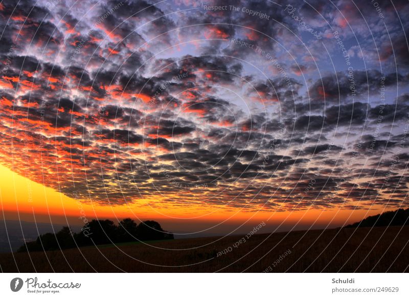 weather front Landscape Clouds Sunrise Sunset Beautiful weather Field Colour photo Exterior shot Deserted Evening