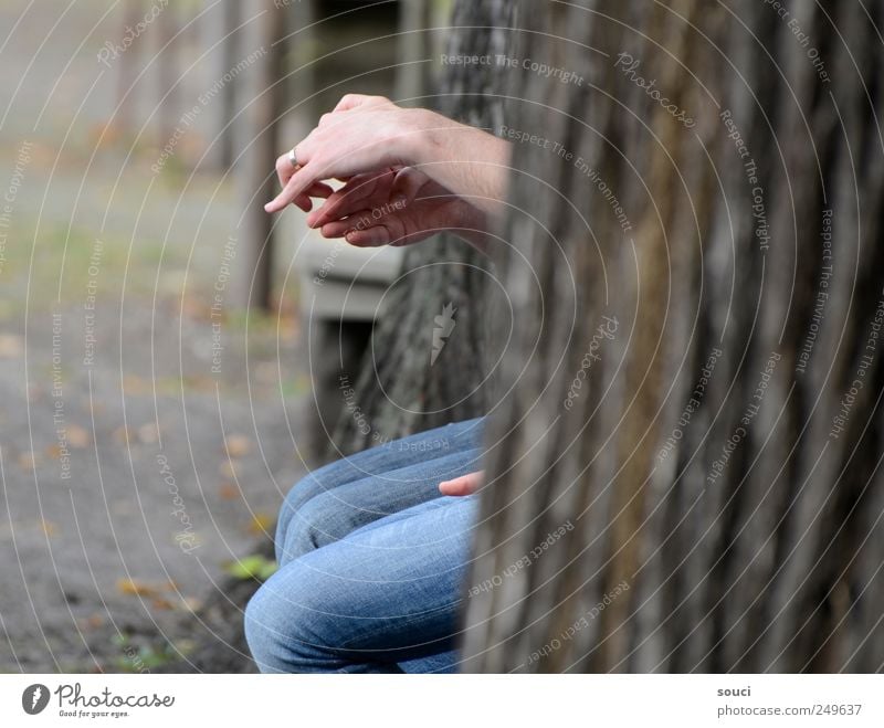 finger theatre Human being Hand Fingers 2 Tree Park Jeans Ring Sympathy Together Friendship Inspiration Attachment Colour photo Subdued colour Exterior shot