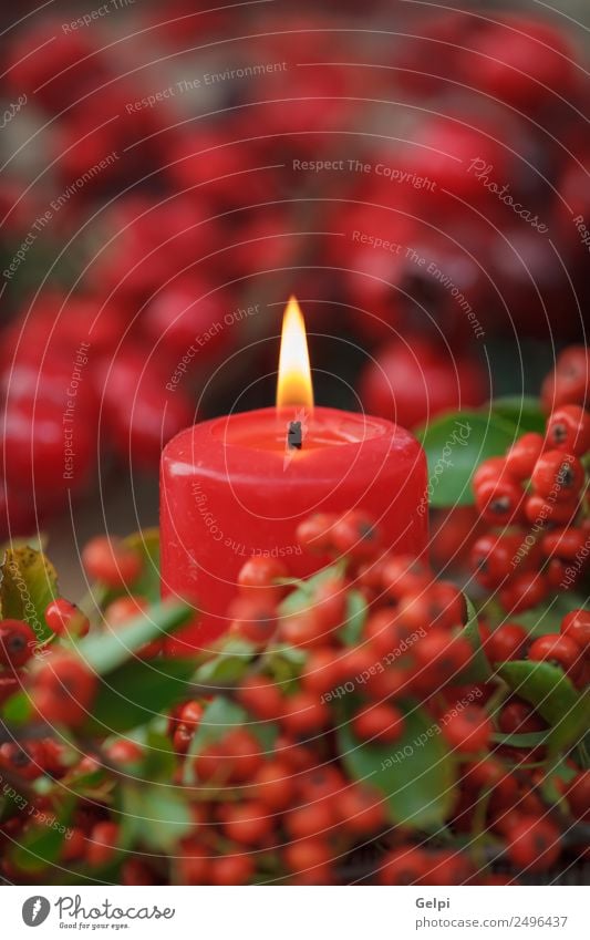 Christmas lighting Design Happy Winter Decoration Table Feasts & Celebrations Christmas & Advent Candle Ornament Dark Red White Colour Tradition christmas flame