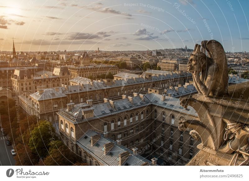 Gargoyle on Notre Dame In Paris Style Vacation & Travel Tourism Sightseeing Summer House (Residential Structure) Landscape Sky Town Architecture Street Stone