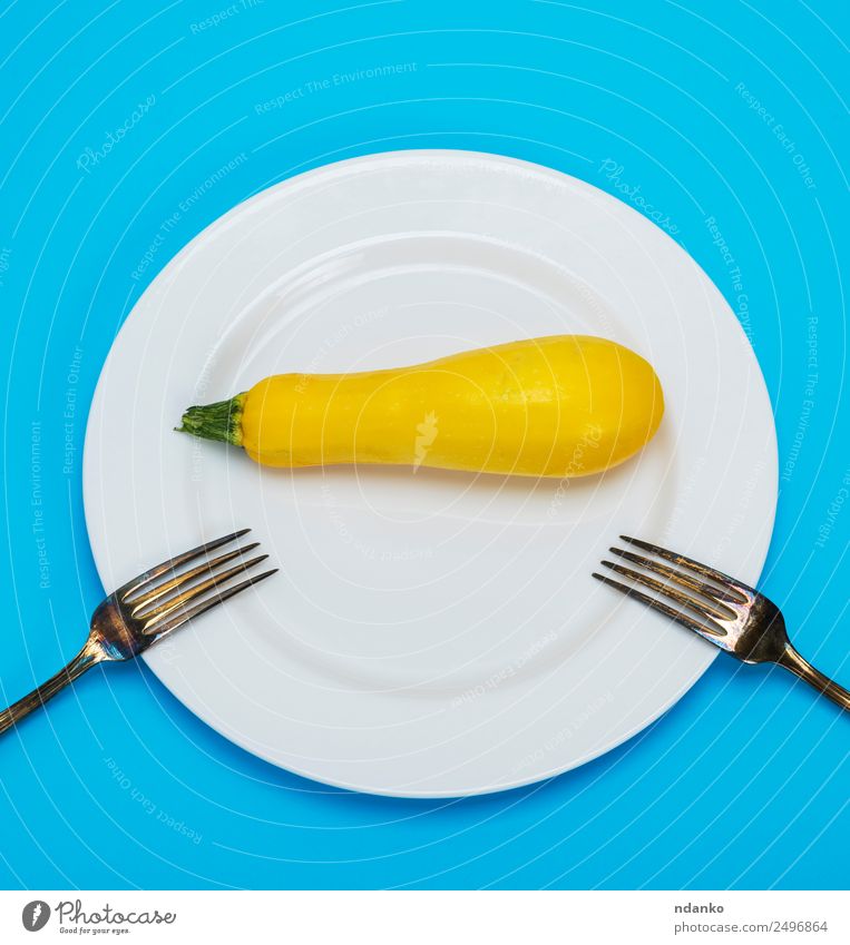 squash in a white ceramic plate Vegetable Nutrition Eating Vegetarian diet Diet Plate Fork Lifestyle Health care Fresh Long Natural Blue Yellow White Colour