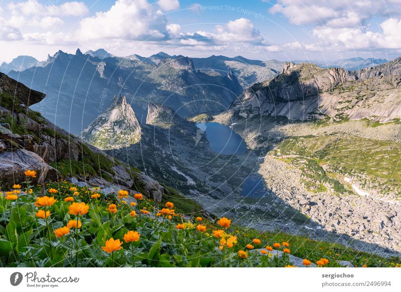 globe flowers Climbing Mountaineering Hiking Landscape Clouds Spring Summer Beautiful weather Flower Park Meadow Hill Rock Alps Peak Pond Lake Observe