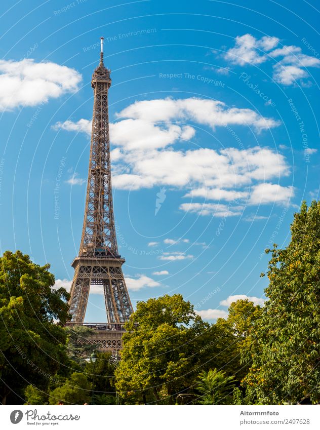 Eiffel Tower in summer on blue sky Vacation & Travel Tourism Sightseeing Summer Garden Culture Nature Landscape Sky Park Building Architecture Monument Metal