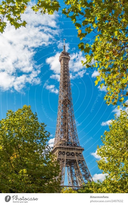 Eiffel Tower in green trees on blue sky Vacation & Travel Tourism Sightseeing Summer Garden Culture Nature Sky Park Building Architecture Monument Metal Bright