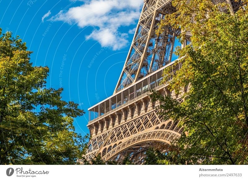 Eiffel Tower in green trees on blue sky Vacation & Travel Tourism Sightseeing Summer Garden Culture Nature Sky Park Building Architecture Monument Metal Bright