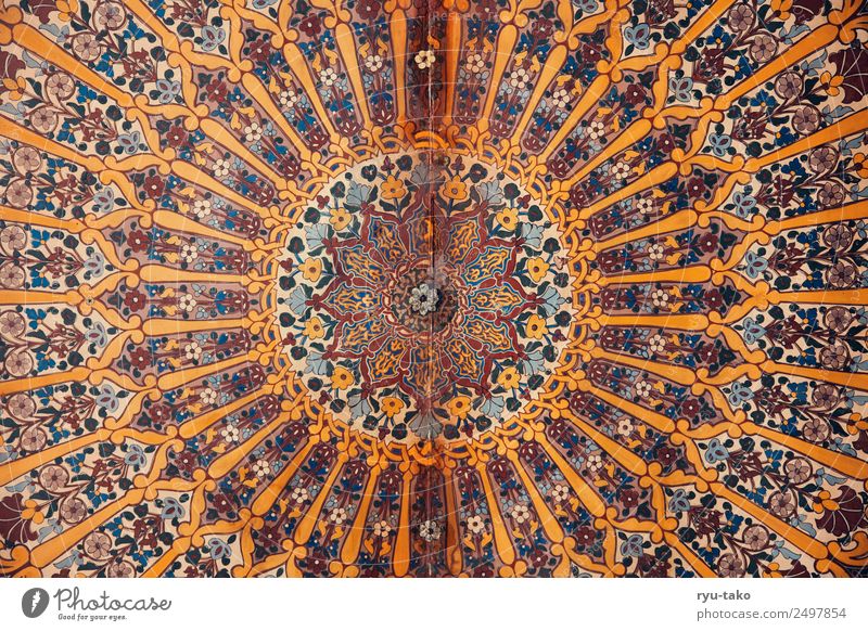 Already painted Morocco Church Palace Tourist Attraction Monument Beautiful Warmth Structures and shapes Pattern Multicoloured Ceiling Diligent Rosette