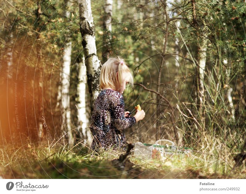 Mama! Is there a bad wolf? Human being Child Girl Infancy Environment Nature Plant Autumn Tree Grass Wild plant Forest Bright Natural Cleaning Birch tree