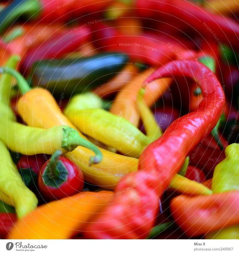 Hot and colourful in Q Food Vegetable Herbs and spices Nutrition Organic produce Vegetarian diet Asian Food Fresh Delicious Multicoloured Yellow Red Tangy Chili