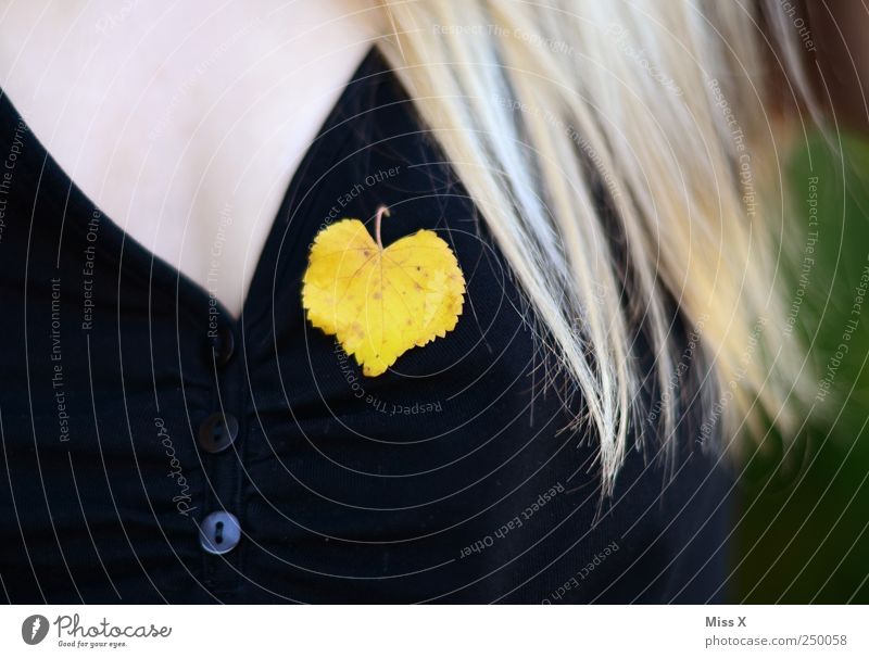 Yellow Heart Feminine Chest 1 Human being Autumn Leaf Accessory Jewellery Blonde Long-haired Lime leaf Autumn leaves Autumnal Colour photo Multicoloured
