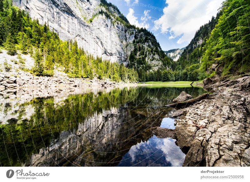 Reflection at the Kammersee Vacation & Travel Tourism Trip Adventure Freedom Summer vacation Mountain Hiking Environment Nature Beautiful weather Rock Alps Lake