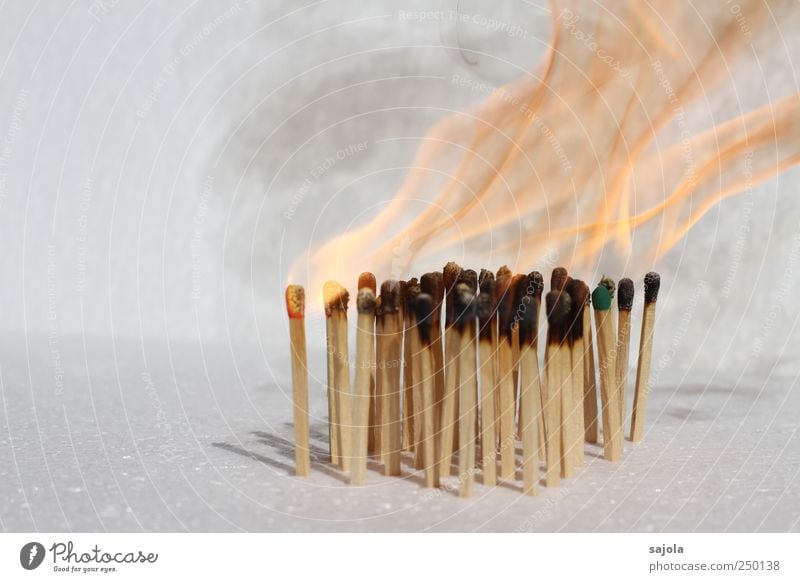 burn out Fire Wood Hot Flame Match Burn Ignite Smoke Colour photo Deserted Copy Space left Isolated Image Neutral Background Shallow depth of field Many