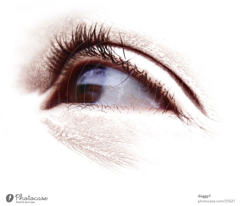The appearance Eyelash Pupil White Woman Eyes Perspective High-key Bright