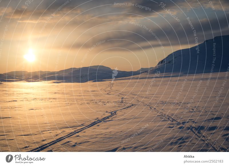 Sunset in polar space, lonely ski tracks Calm Adventure Far-off places Freedom Expedition Winter Winter vacation Winter sports Landscape Elements Sky Ice Frost