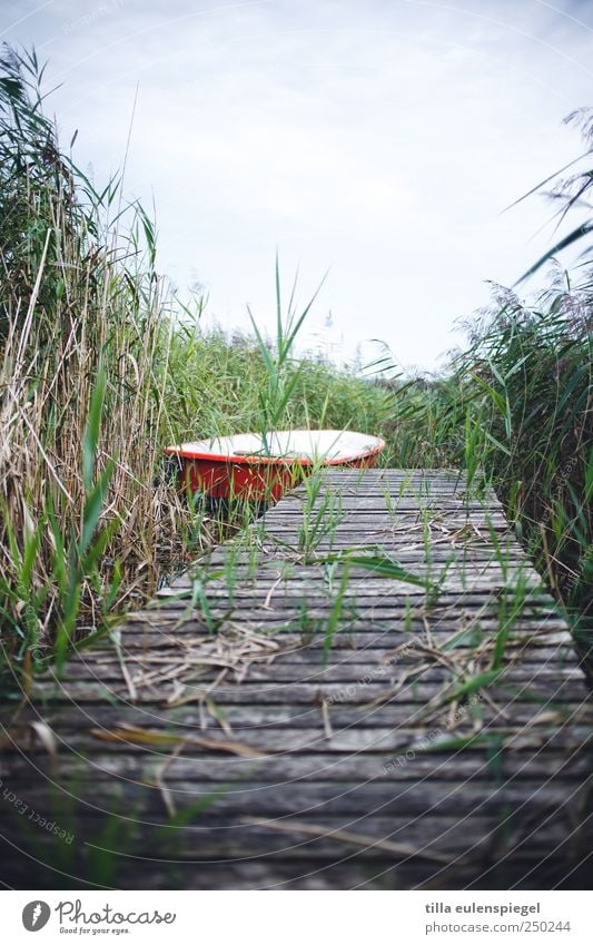 - Leisure and hobbies Trip Summer Nature Bushes Lakeside Rowboat Green Red White Footbridge Common Reed Overgrown Colour photo Exterior shot Deserted