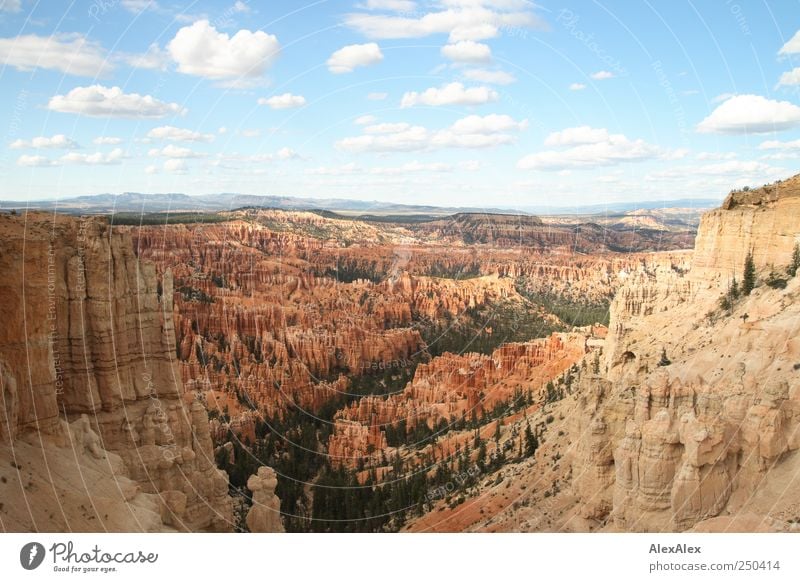 Bryce Canyon View Vacation & Travel Tourism Trip Sky Horizon Beautiful weather Tree Forest Rock Mountain Bryce Amphitheater Bryce Canyon National Park USA Stone