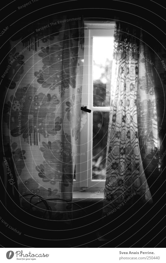 Window to the soul. Drape Window pane Shutter Window board Window frame Curtain Dark Retro Homesickness Wanderlust Homey Flowery pattern Black & white photo
