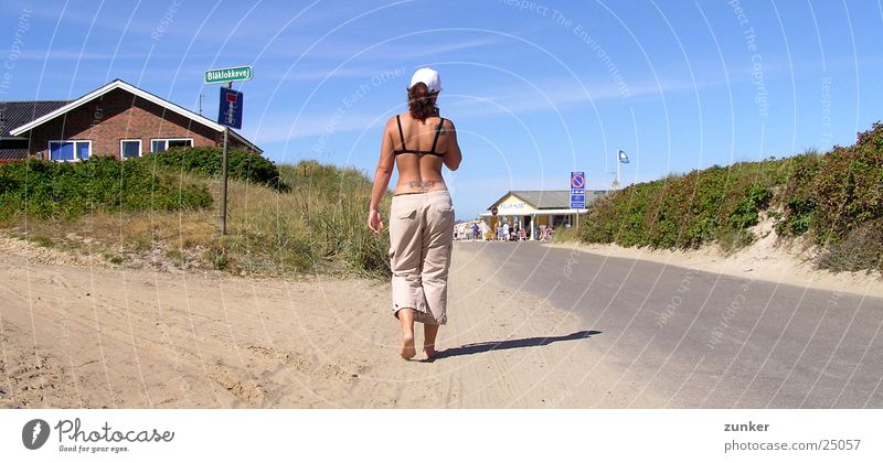 Blåklokkevej Woman House (Residential Structure) Beach Vacation & Travel Leisure and hobbies Going Sun Shadow Back Beach dune Denmark