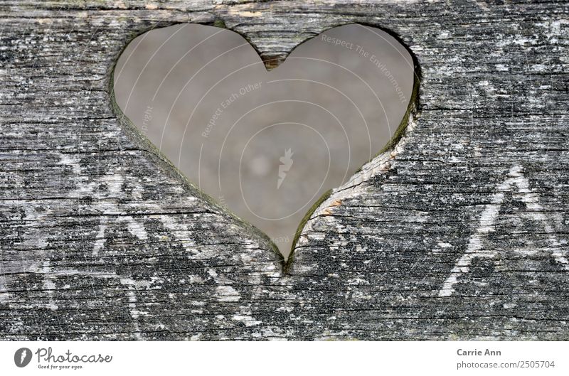 View through the heart Environment Wood Heart Observe Love Looking Dream Sadness Beautiful Natural Gray White Emotions Happy Safety (feeling of) Friendship