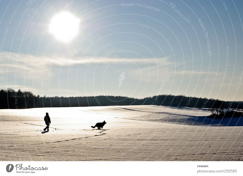 winter walk Well-being Relaxation Playing Trip Winter Snow Winter vacation Hiking Human being Masculine Man Adults 1 Landscape Cloudless sky Sun