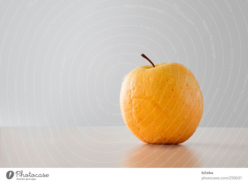 apple Fruit Apple Nutrition Organic produce Yellow Old Wizened Colour photo Interior shot Abstract Deserted Copy Space left
