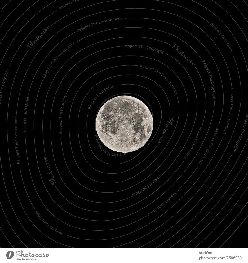 full moon, shortly after the lunar eclipse Nature Moon Full  moon Future Moonstruck Astrology Werewolf Insomnia Colour photo Exterior shot Deserted