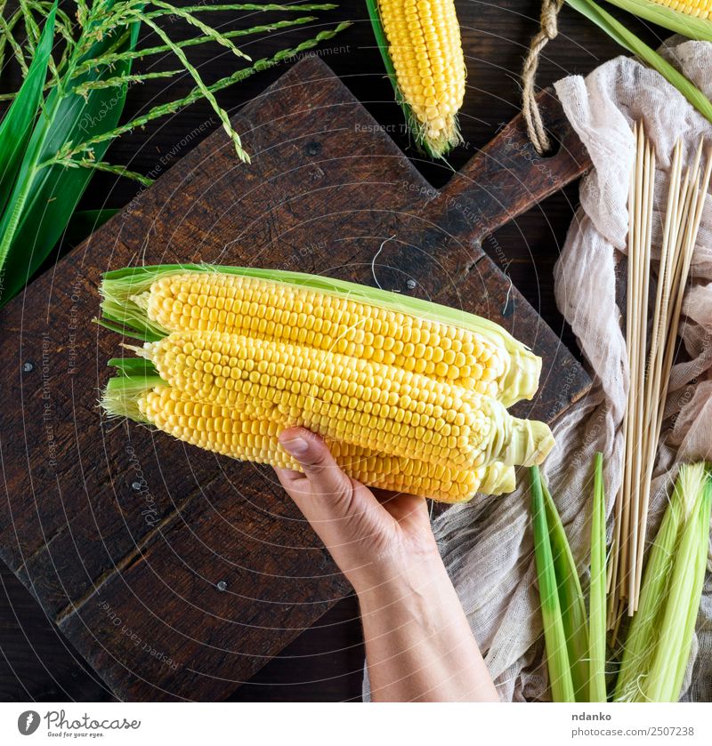 hand holds three ripe yellow cobs Vegetable Nutrition Vegetarian diet Table Hand Nature Plant Leaf Wood Old Fresh Natural Above Brown Yellow Gold Green corn