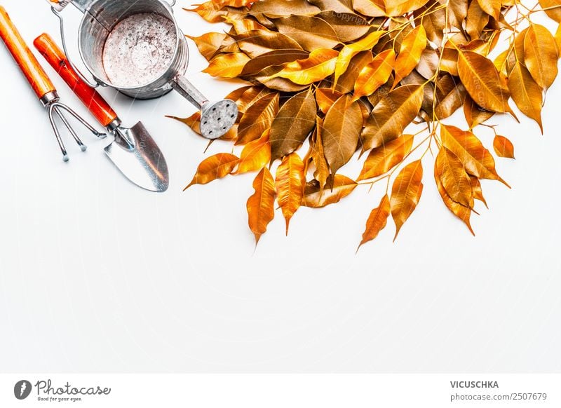 Autumn leaves with watering can and garden tools Style Design Leisure and hobbies Living or residing Garden Nature Leaf Yellow Background picture Gardening
