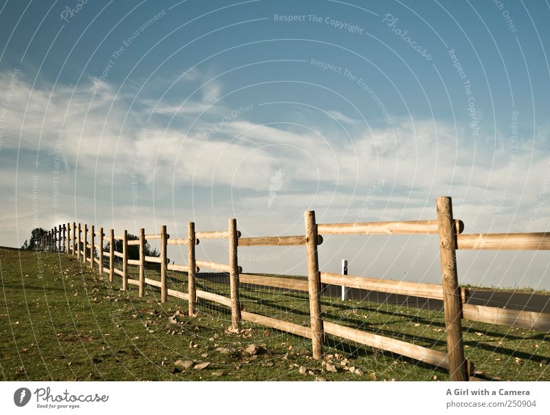stretch Environment Nature Landscape Sky Clouds Weather Beautiful weather Wind Grass Field Blue Yellow Idyll Natural Rural Vail Fence Across Rhoen