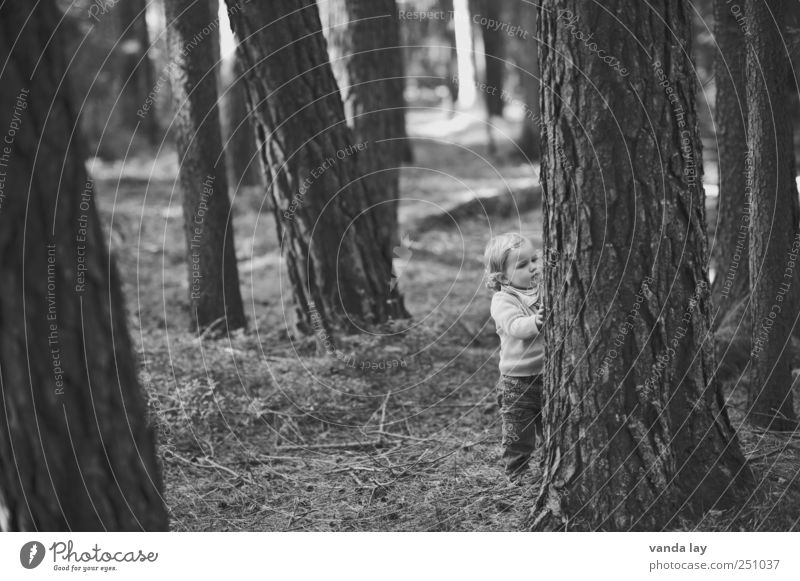 Cornerstone Cornerstone! Playing Human being Child Toddler Girl Infancy Life 1 1 - 3 years Tree Moss Tree trunk Forest Touch Stand Gray Moody Curiosity Interest