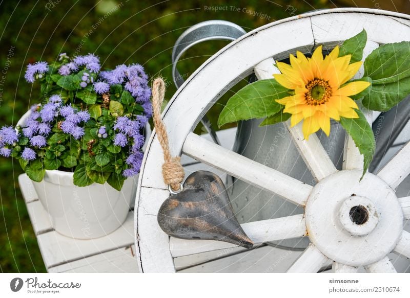 Garden decoration old wagon wheel made of wood and sunflower Well-being Leisure and hobbies Decoration Birthday Work and employment Tool Rope Wood Heart Old