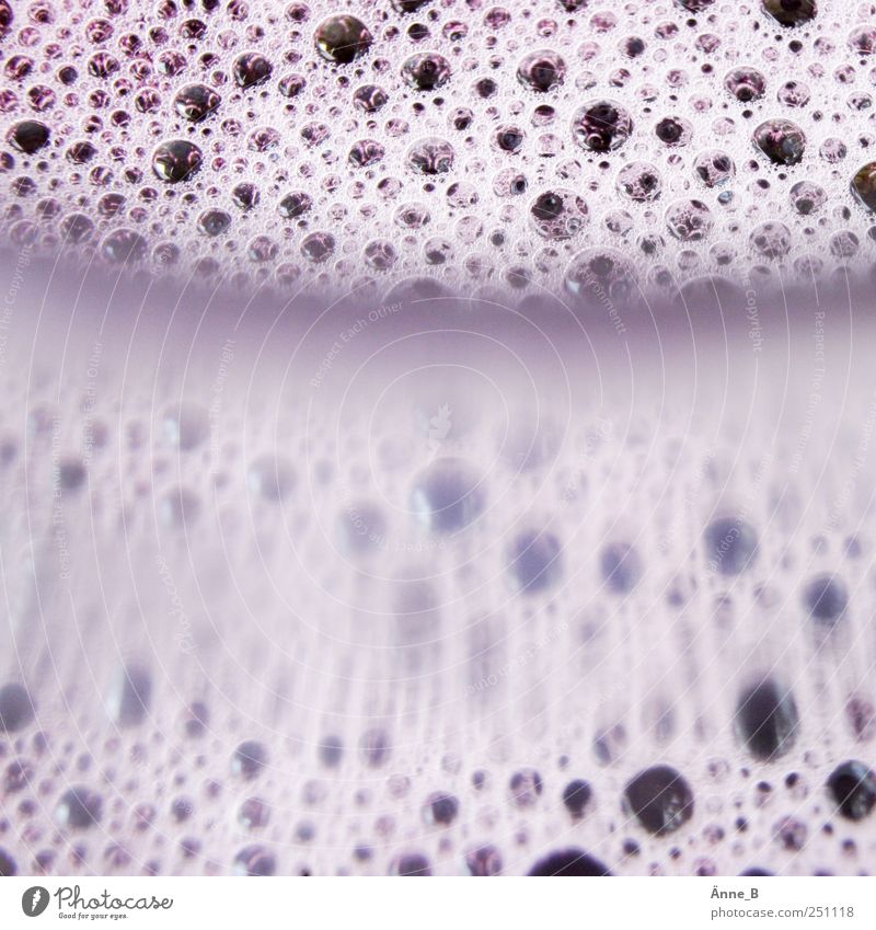 vesicle Foam Bubble Foam bath Soap Detail Reflection Shallow depth of field