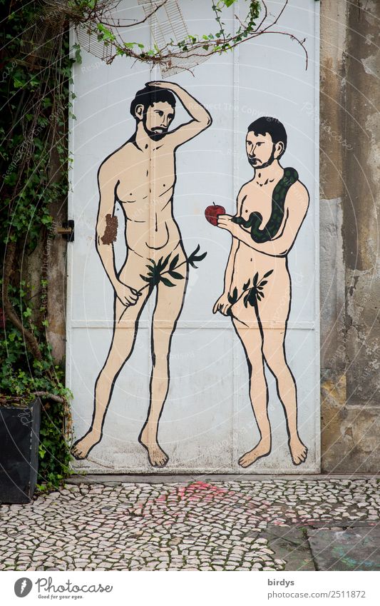 Adam and Evo Apple Masculine Homosexual Couple Adults 2 Human being 30 - 45 years Door Snake Graffiti Communicate Love Authentic Exceptional Eroticism Naked