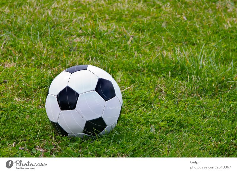Soccer ball Joy Happy Life Leisure and hobbies Playing Sports Success Stadium Earth Grass Lanes & trails Leather Sphere Green Black White Competition football