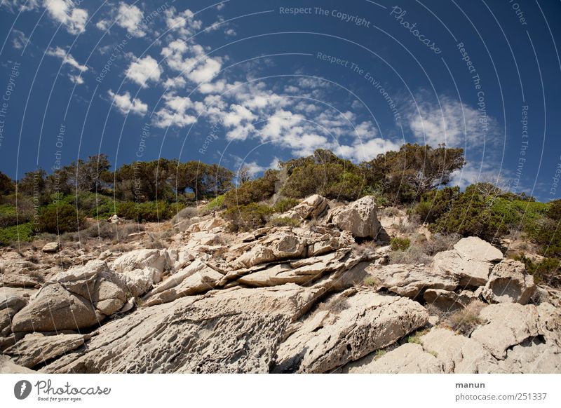 holiday photo Landscape Sky Clouds Beautiful weather Tree Stone pine Rock Mountain Peak Sardinia Authentic Natural Perspective Vacation & Travel Colour photo
