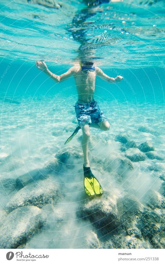 water ballet Leisure and hobbies Aquatics Swimming & Bathing Dive Snorkeling Human being Boy (child) Infancy Youth (Young adults) Life 1 Nature Water Ocean