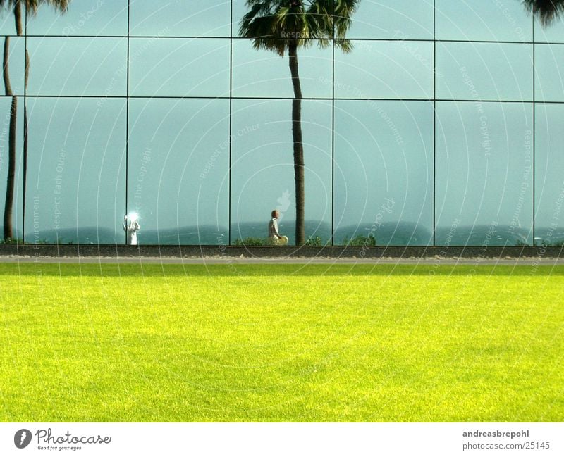 me, myself and sista Mirror Window Wall (building) Palm tree Light Mirror image Sun Lawn
