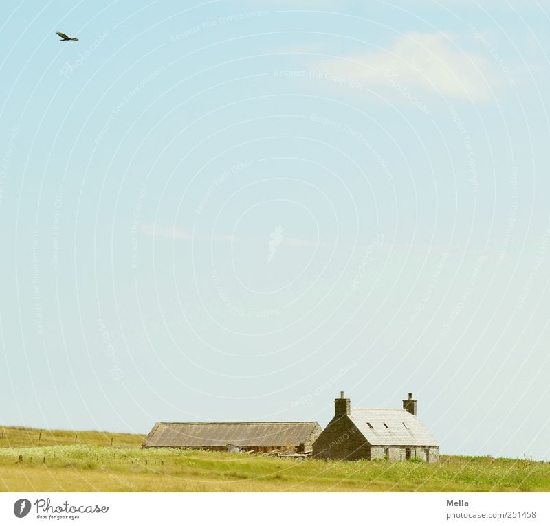 Wide Environment Landscape Sky Meadow Field Deserted House (Residential Structure) Building Farm Cottage Country house Old Blue Green Moody Loneliness Calm