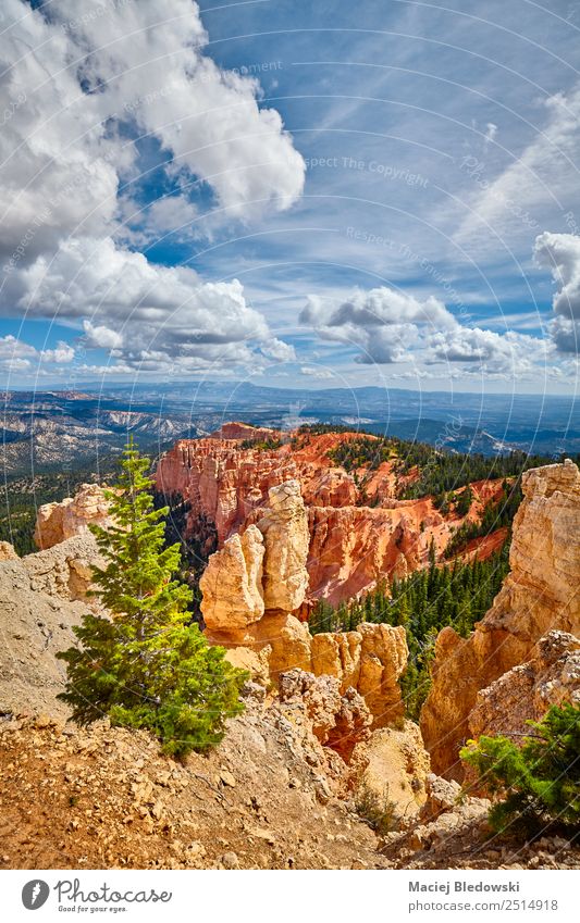 Bryce Canyon National Park, Utah, USA Vacation & Travel Tourism Adventure Freedom Summer Mountain Hiking Nature Landscape Sky Tree Hill Rock Hoodoos panorama