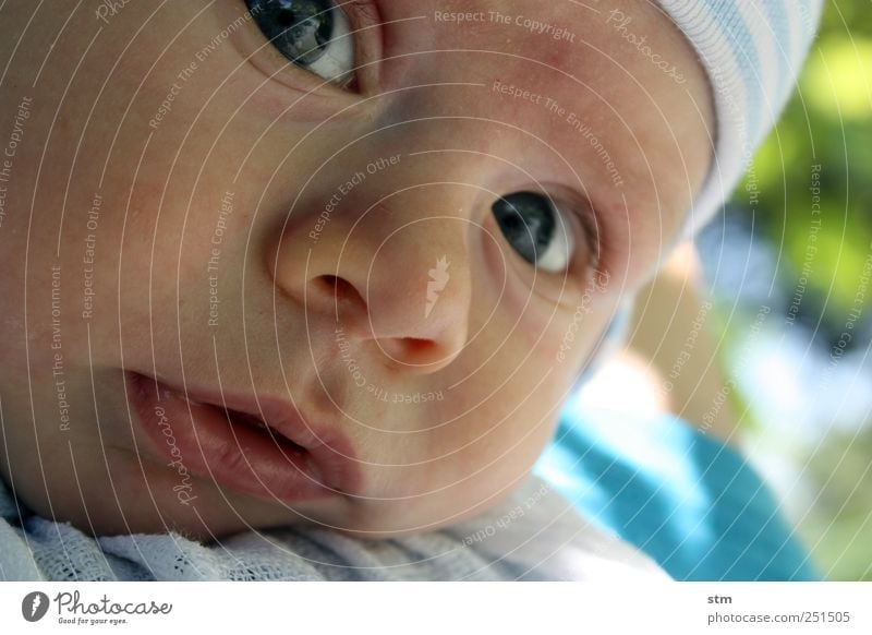 Baby lies on a blanket Human being Masculine Child Toddler Boy (child) Infancy Skin Head Face Eyes Nose Mouth Lips 1 0 - 12 months Cap Observe pretty Curiosity