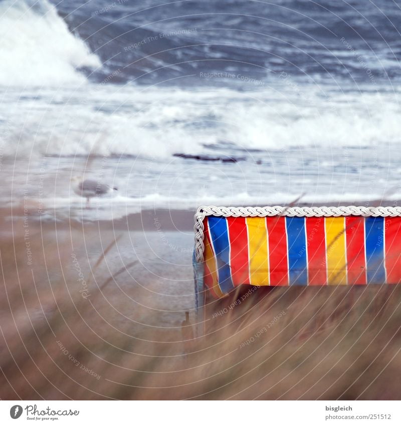 beach chair Beach Ocean Waves Beach chair Water Wind Gale Common Reed Coast Baltic Sea Blue Brown Multicoloured Yellow Red White Loneliness Transience