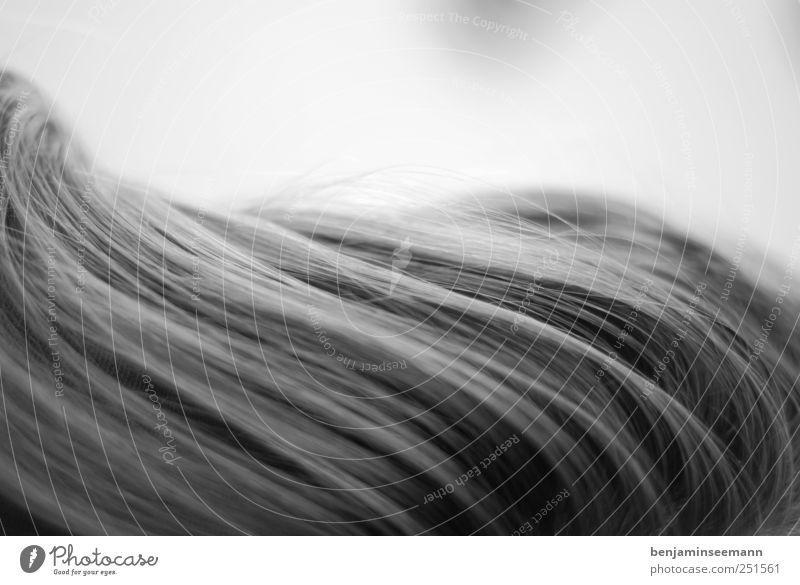 Hair #1 Head Hair and hairstyles Movement Hairdresser Waves Undulation Wavy line Curved Contrast Black & white photo Close-up Detail Experimental Deserted