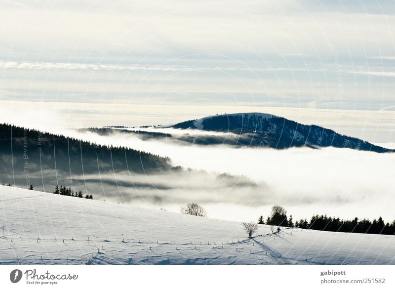 Winter in the Ländle Tourism Trip Far-off places Snow Mountain Hiking Environment Nature Sky Clouds Weather Beautiful weather Fog Ice Frost Cold Blue White