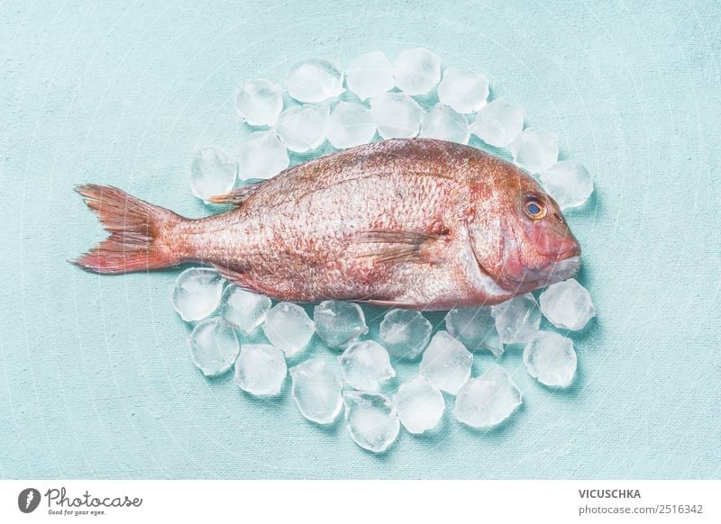 Pink Dorado Fish raw on ice cubes Food Nutrition Diet Style Design Healthy Eating Restaurant Raw Ice cube on blue Food photograph Colour photo Studio shot