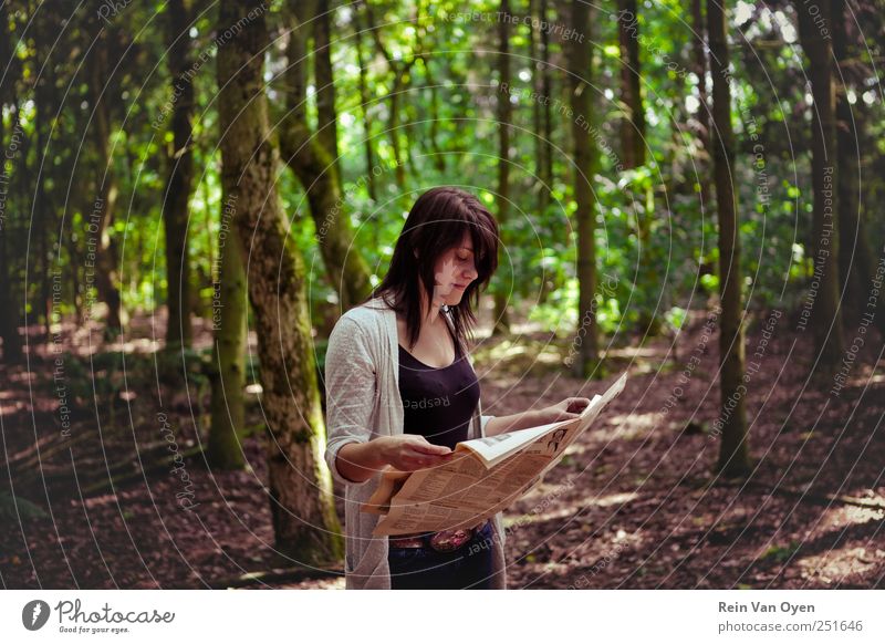 Newspaper forest Tree Forest Reading Woman Dark hair Dark-haired Colour photo Exterior shot Copy Space middle Downward