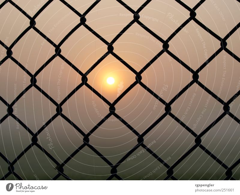 Sun in the net Air Sunrise Sunset Sunlight Climate Weather Fog Meadow Field Metal Exceptional Calm Discover Symmetry Colour photo Exterior shot Deserted