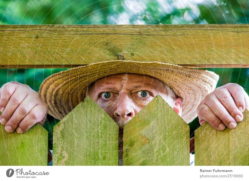 a curious neighbour looks over a garden fence Human being Masculine Man Adults Male senior Face 1 60 years and older Senior citizen Observe Curiosity Mistrust