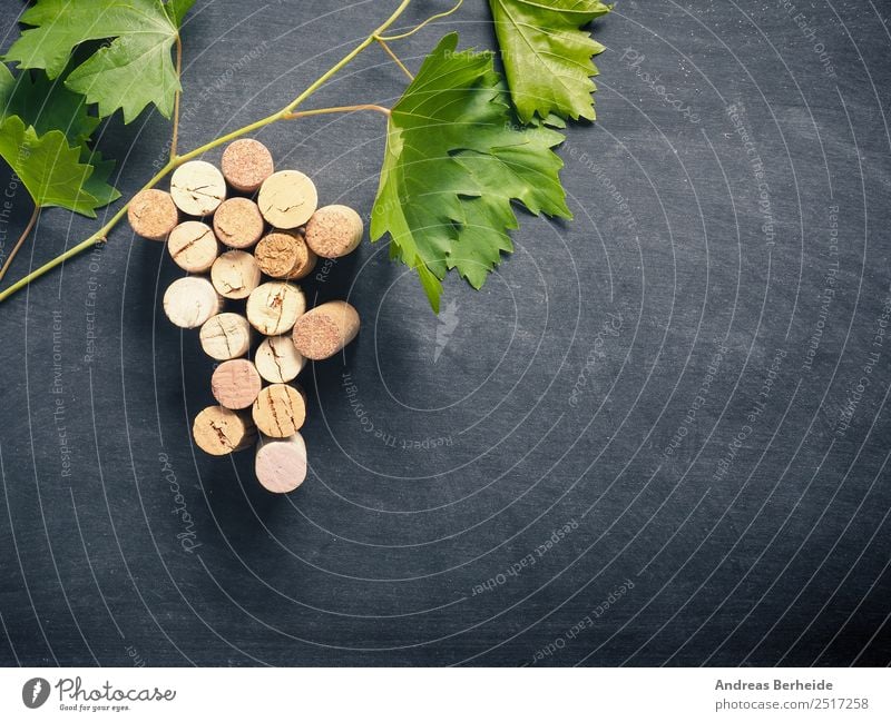 Bottle cork as grapevine with vine leaves Beverage Wine Sparkling wine Prosecco Champagne Blackboard Delicious Cork bunch winery table leaf green concept old
