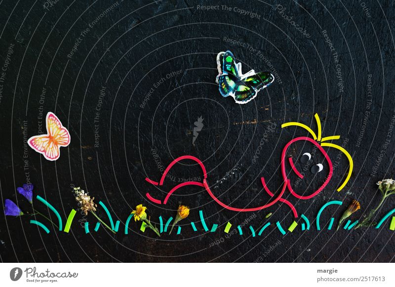 Rubber worms: Summer at last! A person lies in a flower meadow and watches the butterflies Well-being Leisure and hobbies Vacation & Travel Trip Summer vacation