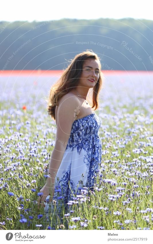 Portrait of a young woman on a cornflower field Youth (Young adults) Young woman Girl Woman Cornflower Field pretty Blue Bouquet Bright Colour Day Plant Flower